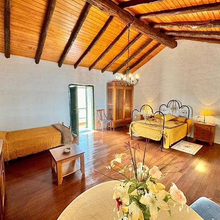 Guanche 'Casa Rural Canaria' サンミゲル・デ・アボナ エクステリア 写真